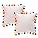 NSSONBEN White Pom Pom Pillow Covers - Soft Velvet Decorative Cushion Cases for Couch Home 16 x 16 Inch Set of 2 (White)