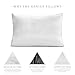 Restorology Genius Pillow (2-Pack) - Hotel Quality Plush Cooling Gel Fiber Filled Pillow with Sateen Gusset - Hypoallergenic - Queen