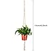 6 Sets Swag Ceiling Hooks Steel Screws Bolts and Toggle Wings with 2 Pieces Large Flower Pot Hanger Basket Holder for Ceiling Hanging Decorations(White)