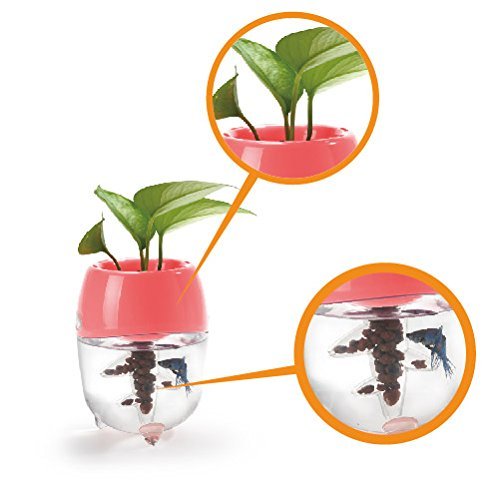 Dr-Moss-Aquaponic-Fish-Tank-Aquarium-for-Betta-Fish-with-Water-Garden-Planter-Top-Lid-Natural-Ecosystem-for-Plant-Growth-Blue