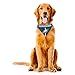 Little Earth NFL Team Dog Bandana