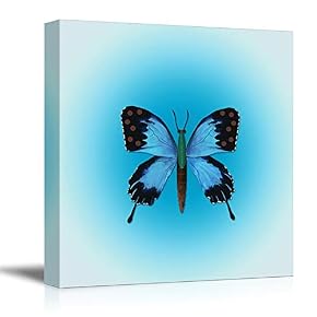 Colorful Butterfly Pictures Home Wall for Bedroom Living...