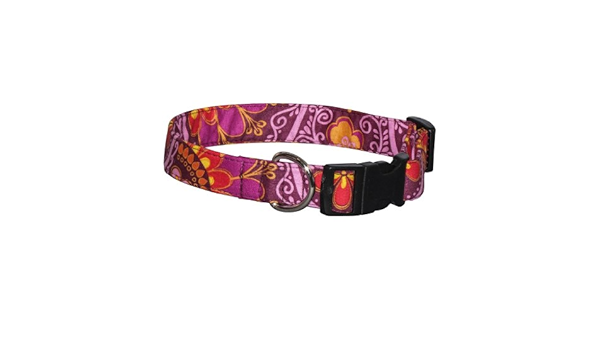 gypsy dog collar
