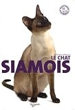 CHAT SIAMOIS by