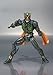 Bandai Tamashii Nations Another Agito 