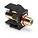 Leviton 40830-BER QuickPort RCA, Gold-Plated Connector with Red Stripe, Black