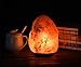 JIC Gem Small Himalayan Salt Lamps Natural Crystal Rock 6-7
