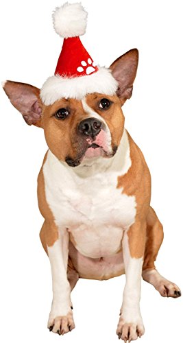 Rubies Costume Company Red Santa Hat Pet Costume Accessory