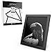 Arteza Picture Frames 8 x 10 Display Pictures 6 Pack – Wood Finish Frame – Pure Glass Front - Pictures Frames for Wall – Gallery Wall
