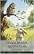 Livro O Coelho que Queria Voar: Livro 1 (Colecao Animais Aventureiros)