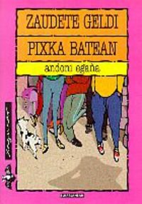 Portada de Zaudete geldi pixka batean: 100 (Xaguxar)
