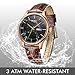 BUREI Men's Simple Classic Wrist Watches Date Day Calendar Brown Calfskin Leather with Black Dial