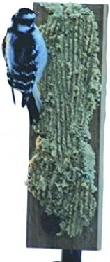 Birds Choice WCBOARD Suet Board with Pole Clamp