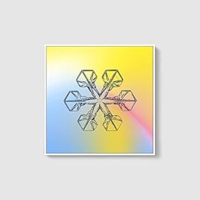 Framed Canvas Wall Art for Living Room, Bedroom Snowflake Theme Canvas Prints for Home Decoration Ready to Hang - 16x16 inches