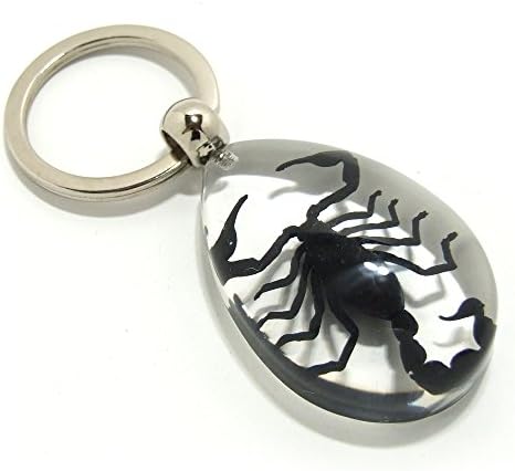 Insect Keyring 【サソリ】 キーホルダー 昆虫 アクセサリーパーツ ペンダントトップにも ストラップ 海外雑貨 キーリング キーチャーム レジン 樹脂