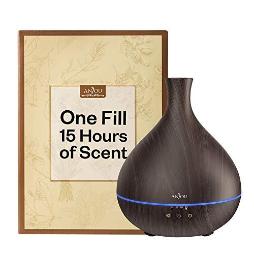 6 Essential+Anjou+Humidifier+Consistent+Aromatherapy
