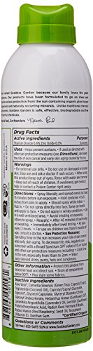 Goddess Garden Organics SPF 30 Natural Mineral Sunscreen - New Formula Available