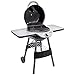 Char-Broil 17602048 TRU Infrared Patio Bistro Electric Grill, Black, 240