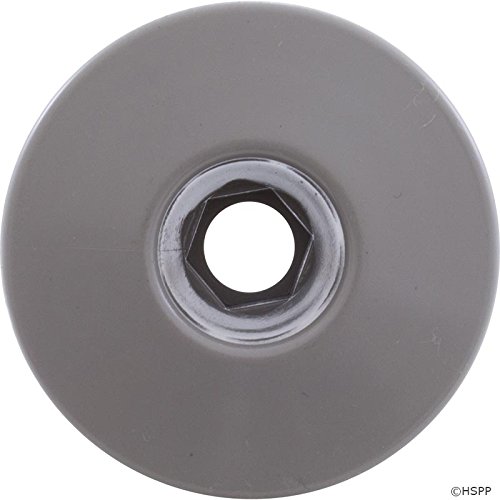 Waterway Plastics 806105046413 Internal 2" Ozone Cluster Smooth Fixed Gray Spa Jet