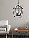 Trans Globe Imports 10264 ROB Transitional Four Light Pendant from Lacey Collection in Bronze/Dark Finish, 12.00 inches