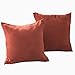 Best Dreamcity Set of 2 Faux Suede Cushion Covers / Pillowcases for Couch (18 X 18 -Inch, Poppy)