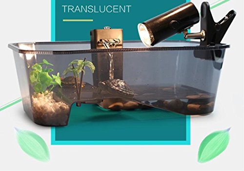 5 Reptile+Habitat+Terrapin+Aquarium+Platform