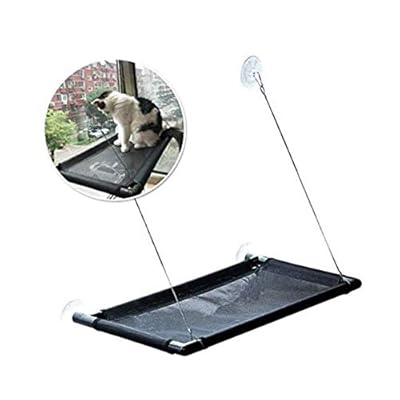 kitty cot suction cups