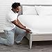 Bare Home 2-Pack Fitted Bottom Sheets Twin XL - Premium 1800 Ultra-Soft Microfiber - Deep Pocket (Twin XL, White)