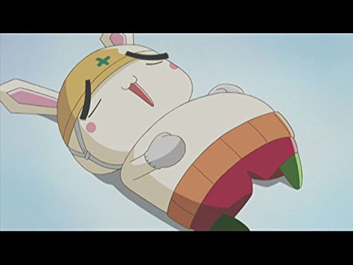 Amazon Co Jp 全力ウサギを観る Prime Video