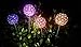 Solar Lights Garden Yard Decorations - Decorative Solar Garden Lights for Outdoor primary