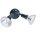Lithonia Lighting OFTH 300PR 120 P BZ M12 Twin Par Holder Dusk to Dawn Outdoor General Purpose Flood Light, Grey Bronze