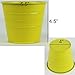 Metal Basket Bucket Planters Pot Assorted Colors Set of 5 for Plant and Flower