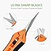 VIVOSUN 12-Pack 6.5 Inch Gardening Hand Pruner Pruning Shear with Straight Stailess Steel Bladesthumb 1