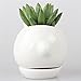 NCYP Indoor White Ceramic Flower Pot Garden Tabletop Kawaii Small Miniature Rabbit Bunny Planter Pot for Succulent Cactis with Tray 3.93 inches Sculpture (No Plants)