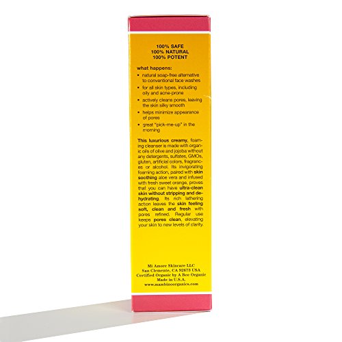 Mambino Organics Face Wash, New Beginning Pore Refining, 5.5 Fluid Ounce