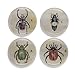 Buttonsmith Beetles Magnet Set - Set of 4 1.25