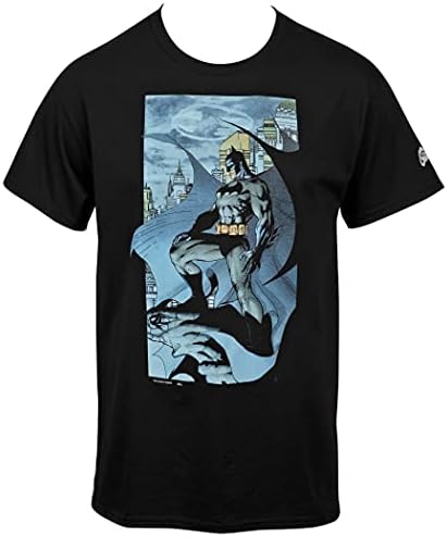 Amazon.com: Batman The Dark Knight Returns Gargoyle Jim Lee Comic