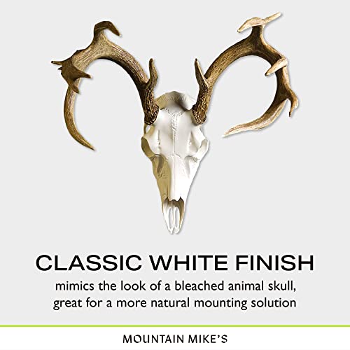 Skull Master by Illusion | White | European Mount | Antler Mounting Kit | Euro Mount | 3D Modeled Replica Deer Skull | Taxidermy | Compatible with Harvested and Shed Antlers | Universal Sizing