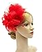 Cizoe Women's Fascinators Hat Hair Clip Feather Wedding Headware Bridal 1920s Headpiece(1-red)