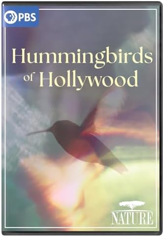 Amazon.com: NATURE: Super Hummingbirds DVD : n/a, n/a: Movies & TV