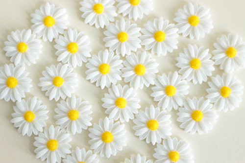 24Pcs Decorative Pushpins,Cork Board Tacks,Bulletin Board Tacks,Thumb Tack Decorative for CorkBoard, Office Organization or Home (White)