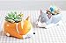 Corgi Shaped Succulent Flower Pots -Plants Not Included