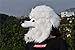 PARTY STORY Poodle Dog Mask Latex Animal Full Head Mask Novelty Halloween Costume Rubber Masks