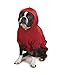 Zack & Zoey Basic Hoodie for Dogs, 12