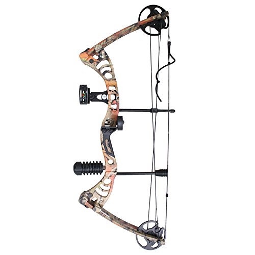 Best Compound Bow for Beginners of 2020 Complete Reviews with