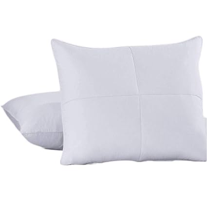 Amazon Com Soft Goose Feathers And Goose Down Pillow 240 Thread