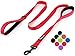 Primal Pet Gear Dog Leash 6ft Long,Traffic Padded Two Handle,Heavy Duty,Reflective Double Handles Lead for Control Safety Training,Leashes for Large Dogs or Medium Dogs,Dual Handles Leads(Red)