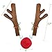 Poptrend Car Reindeer Antlers & Nose Decorations, Window Roof-Top & Front Grille Rudolf Reindeer Jingle Bell Christmas Costume Auto Accessories (Large, Brown+red)