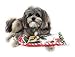 Christmas Dog Stocking Toys. Pack Assorted with Squeaker Inside of Newspaper Toy, Squeaky Boot, a red, Green & White Tennis Ball & red White & Green Knotted Rope Xmas Toy. Small Medium Large Breeds