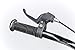 RoyalBaby BMX Freestyle Kids Bikes 12 inch, 14 inch, 16 inch Avaliable, Boy’s Bikes and Girl’s Bikes as Gifts